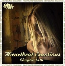 VA - Heartbeat Emotions - vol.14 (2009)