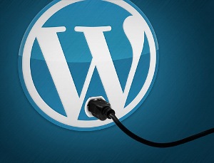 WordPress —     (CMS)    ,   GNU GPL.   PHP,      MySQL.