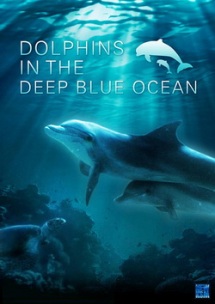     / Dolphins In the deep blue ocean (2009) BDRip